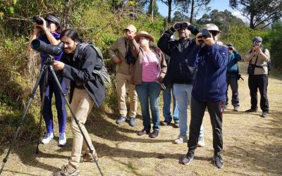 Entre páramos y pájaros: Una actividad comunitaria para descubrir más sobre la avifauna