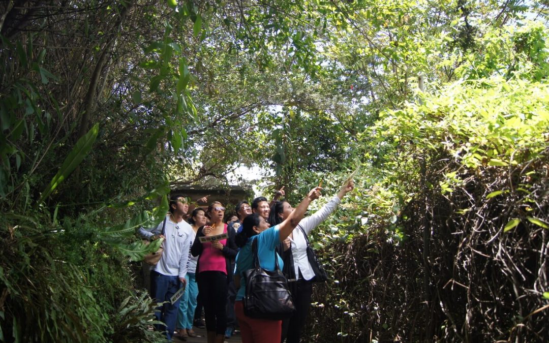 El 3 y 4 de marzo, feriado de carnaval, visite los museos de la FMC a 1 USD