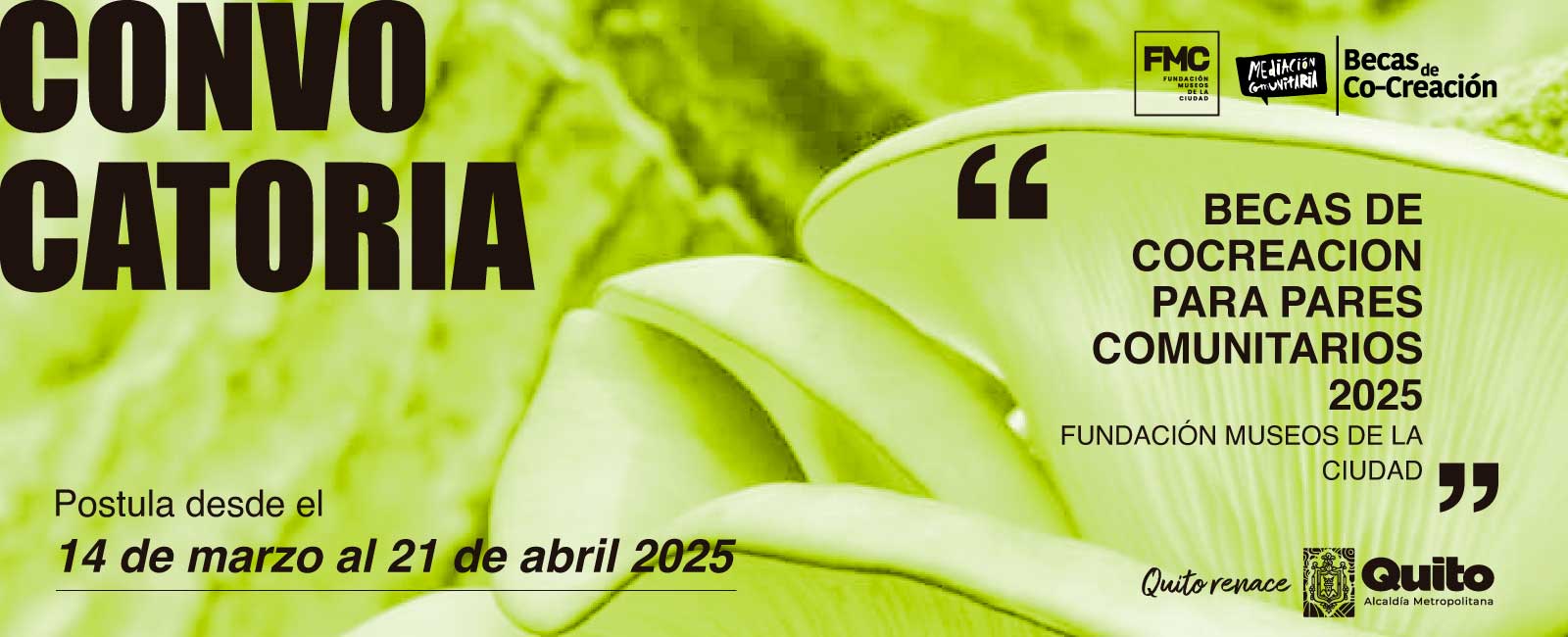 Convocatoria_Cocreación