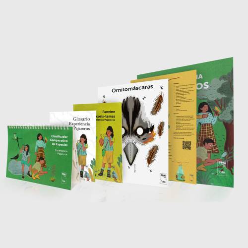 EXPERIENCIA PAJAREROS