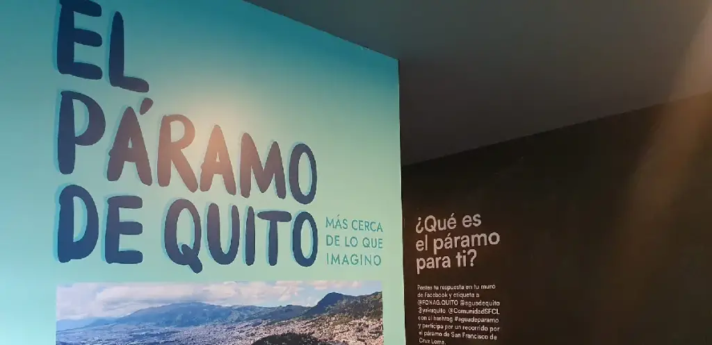 Páramo de Quito: Más cerca de lo que imaginas