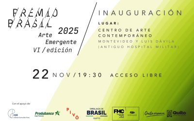 El arte emergente se toma el CAC: llega la Sexta Edición del Premio Brasil