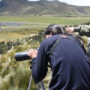 Censo Neotropical de Aves Acuáticas-La Mica