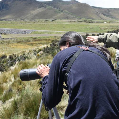 Censo Neotropical de Aves Acuáticas-La Mica