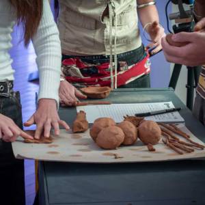 Peces en un mundo mágico