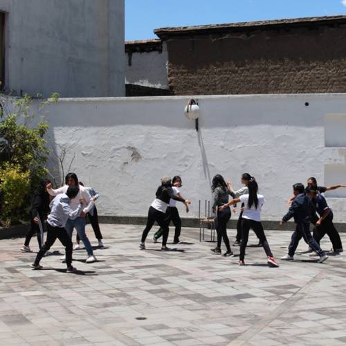 A mover el esqueleto Museo de la Ciudad