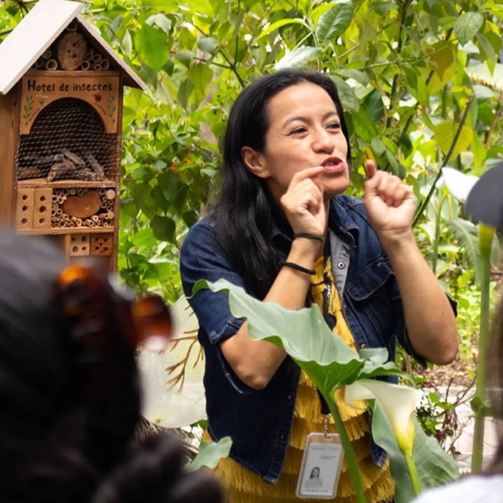 Quito hogar de Abejas