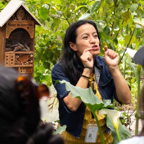 Quito, hogar de abejas