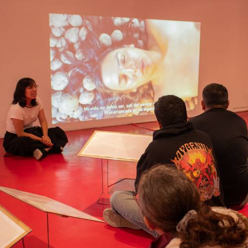 Recorrido guiado por la exhibición Tesoro de Indias