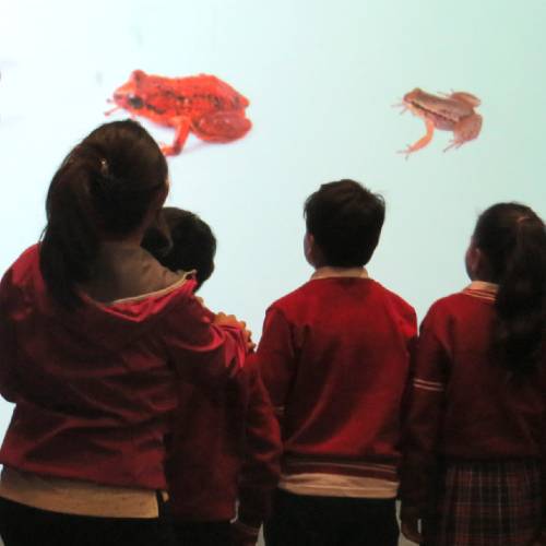 ¡A palabrear con los guaguas!