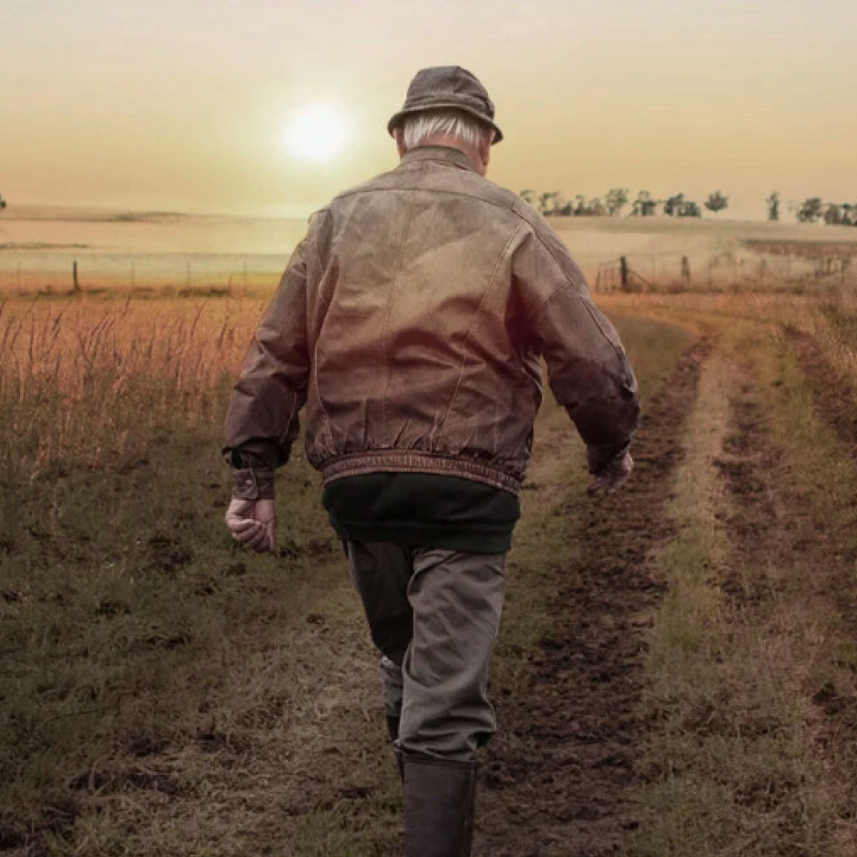 La Aurora: el principio del camino