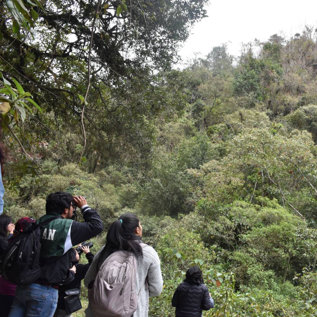 Conteo urbano de aves de Quito
