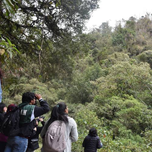 Avistamiento de aves