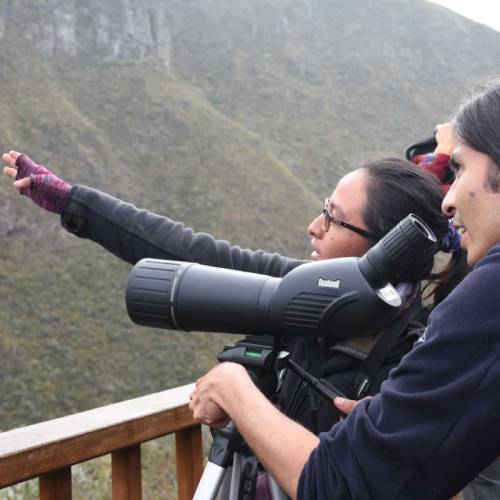 Pajareros Quitensis: Escucha la ciudad a través de las aves