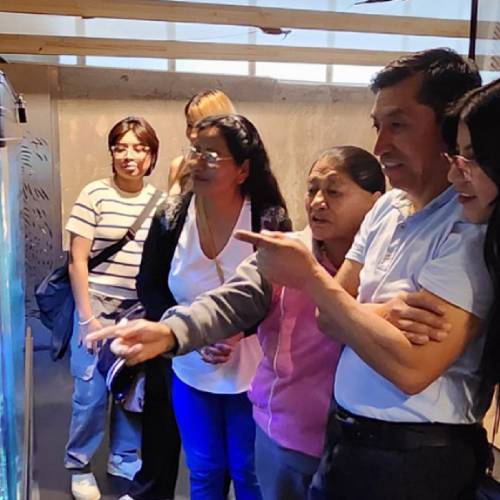 Yaku a la Carta: Rin Rin Renacuajo