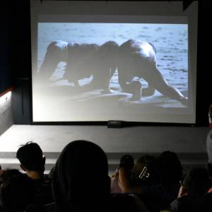 Tiputini, los sonidos de la selva