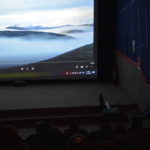 Yaku Cinema: Edición especial de anfibios y ranas