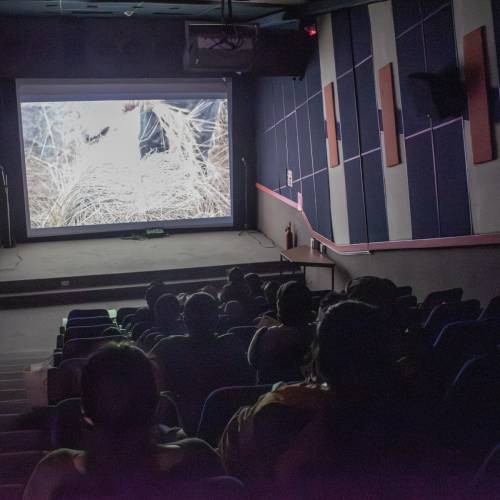 Yaku Cinema: Edición especial para mamás