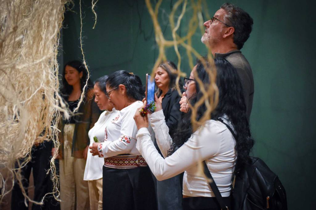 Micelia: Tejiendo saberes, cultivando memoria