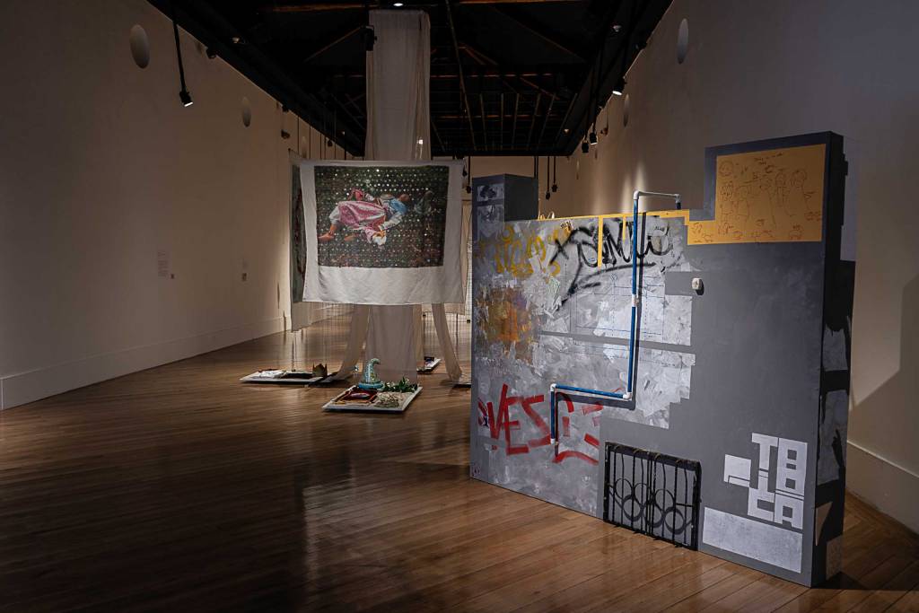 Premio Brasil – Arte Emergente 2025, Sexta Edición